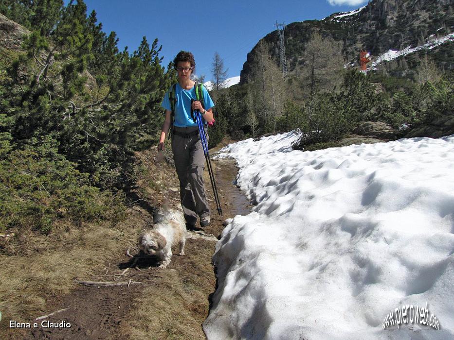 06 Si passa di fianco alla neve.JPG